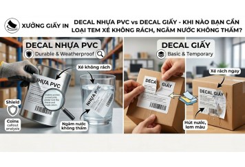 Decal nhựa PVC vs Decal giấy - Khi nào cần tem xé không rách, ngâm nước không thấm?
