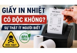 Giấy In Nhiệt Có Độc Không? Sự Thật Ít Người Biết